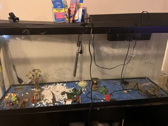 Fish Tank (75 gallons)