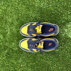 Michigan Dunks Size 4 