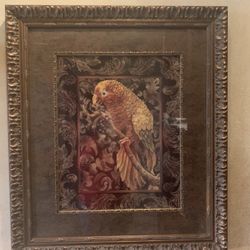 2 Parrot Prints Framed In Gold