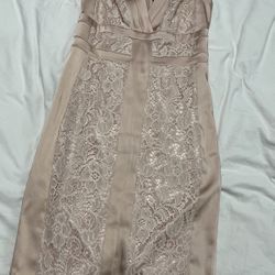 Nude Lace Dress