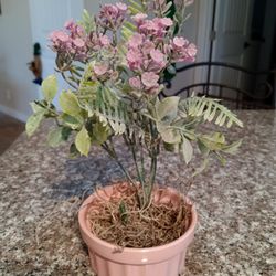 Decorative, Artificial, Plant, Plants 