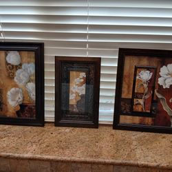 3 Piece Picture Set