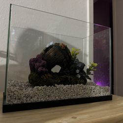 Fish Tank