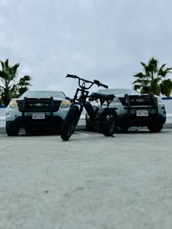 Macfox X1S