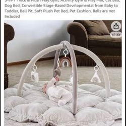 Baby 2 Toddler Play Gym