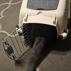 Cat/Dog Carrier 