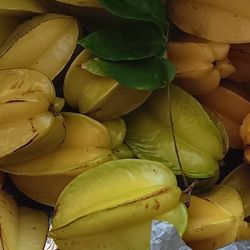 Star Fruit 