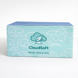 Facial Tissue Flat Box (2-Ply) – Priced per Case