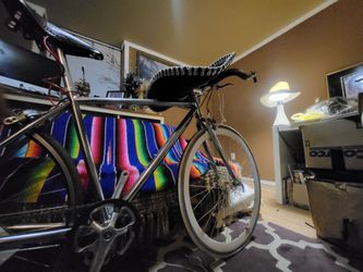 Fixie in chrome - 3 speed internal