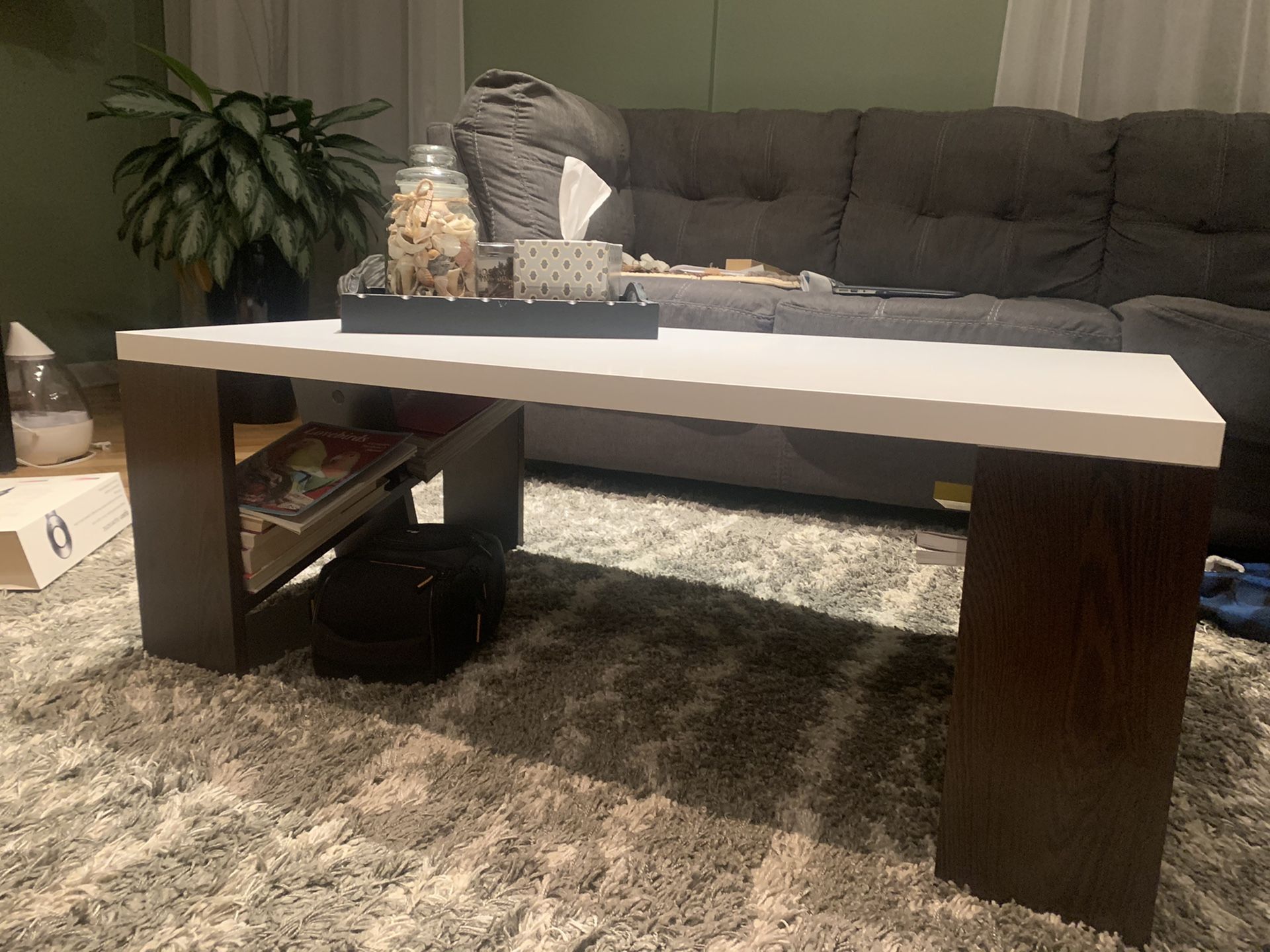 Coffee Table with shelves