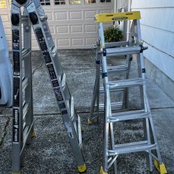 Gorilla Ladder And Werner Ladder 