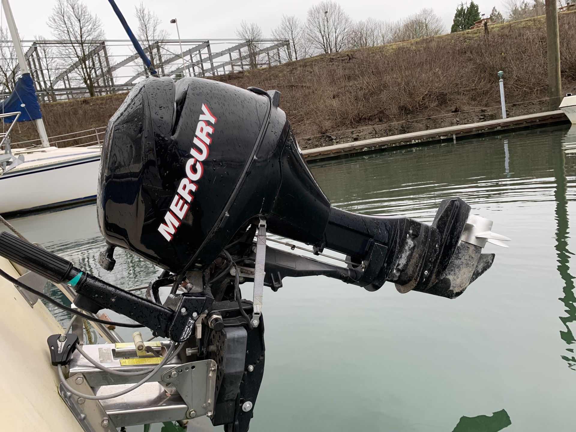 2012 Mercury 9.9 Pro Kicker 4 stroke electric start/tilt. Starts every