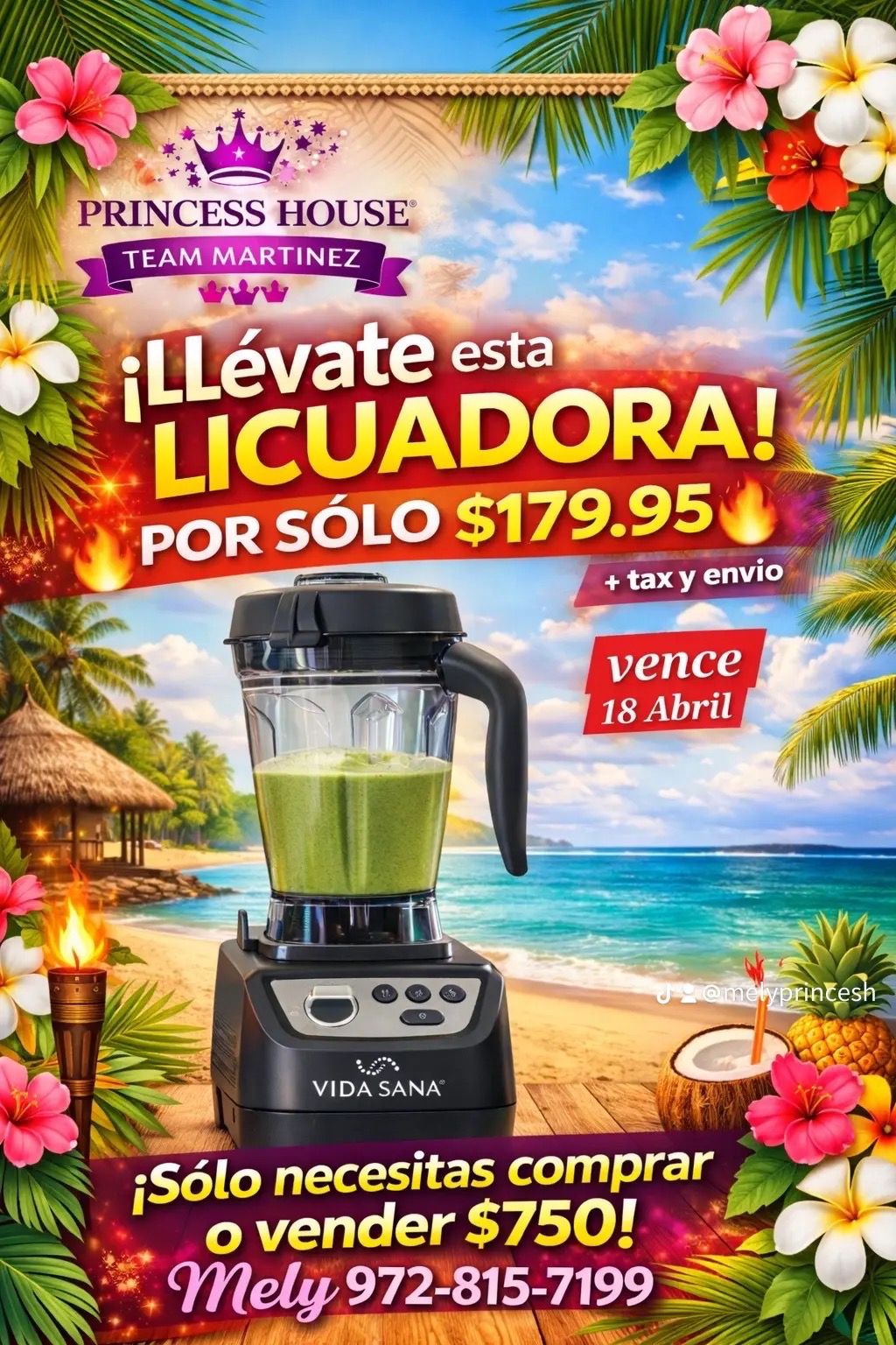 Licuadora princess house