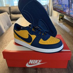 Nike Terminator Michigan 