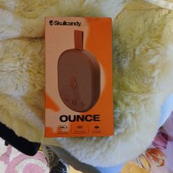 Skullcandy Portable Speaker