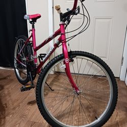 Bisicleta Rodada 24"