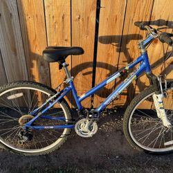 Diamondback Mountain Bike