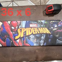 Spider-Man Canvas