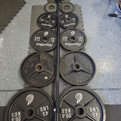 Olympic Size Weight Plates Weightlift Excercise Workout Bench Press Curl Deadlift Bar 