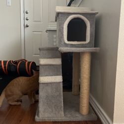 Cat Tree 