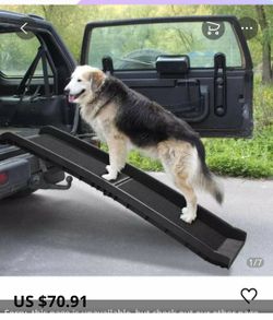 Pet ramp
