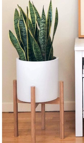 3 pack bamboo plant stand