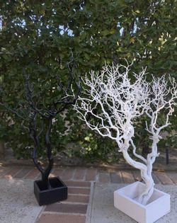 decorative branch jewelry trees 