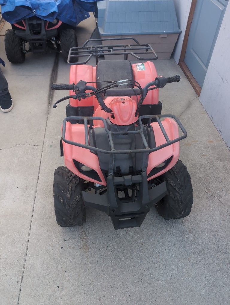 110 CC ATV (2014)
