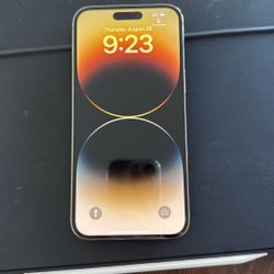 iPhone Pro Max 256GB Unlocked