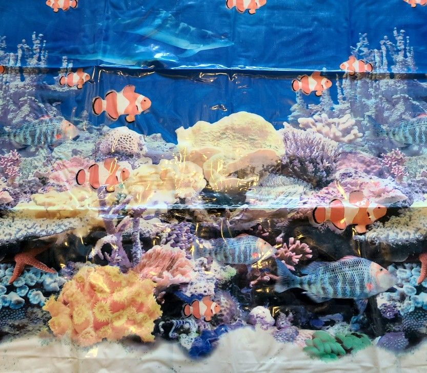 Nautical Shower Curtain Matching Soap Dish