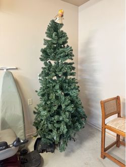 christmas tree 6’