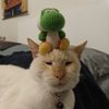 Cat Dickerson