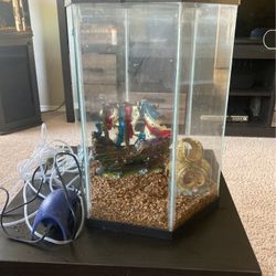 Aquarium 