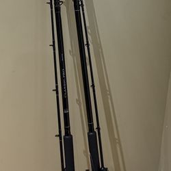 Trolling rods and reels combo, salmon fishing gear