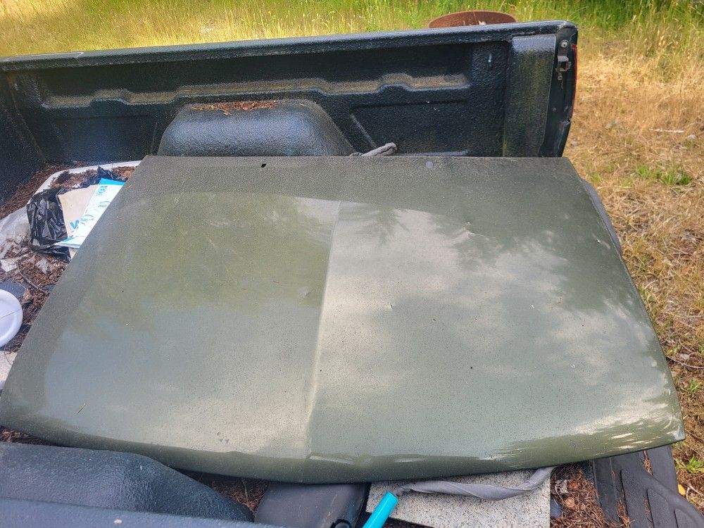 Chevrolet S10 Hood