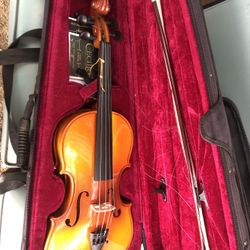 Violin