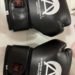 American Karate Institute Boxing Gloves 