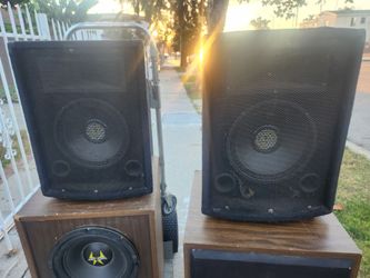 Pyle speaker
