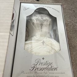 Wedding/Quinceanera Dress