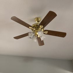 Ceiling Fans