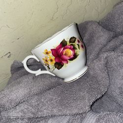 Cup Only