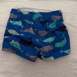 Boys Swim Trunks 