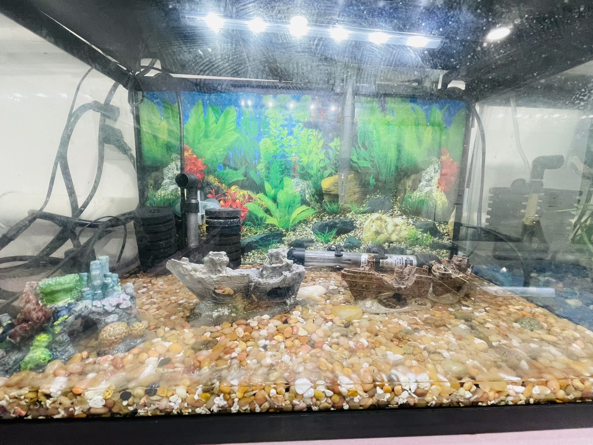 Fish Tank