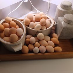 Farm Fresh Eggs