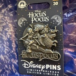 Hocus Pocus Disney Pin
