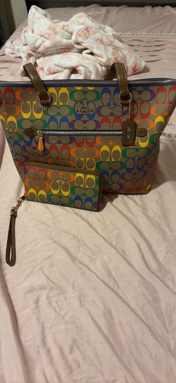 Rainbow coach bag and coin purse