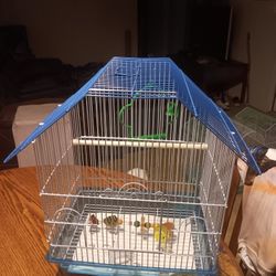 Blue Bird Cage