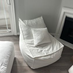 Large indoor/outdoor bean bag Chair 