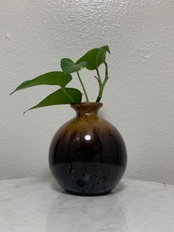 Cute pot