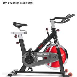 Sunny Bike Workout Bike/Exercise Bike